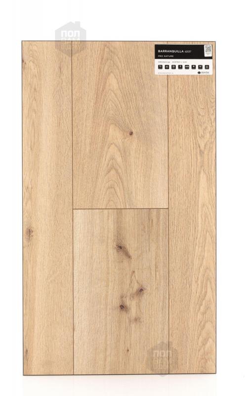 SPC ламинат Alpine Floor Barranquilla 62537